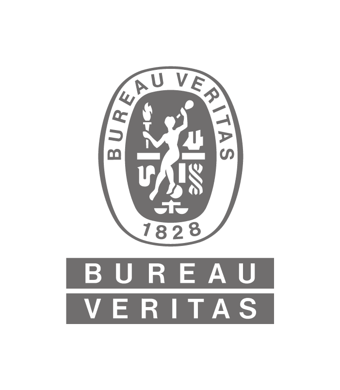Logo-BV_CMYK-GRAY